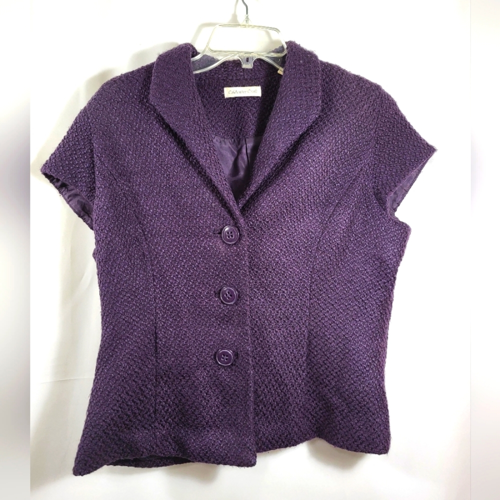 Kathleen Kirkwood by Coldwater Creek purple top  women's 14  #1316